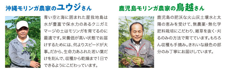 ノビエース