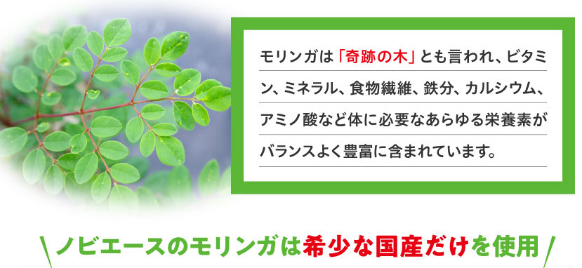 ノビエース