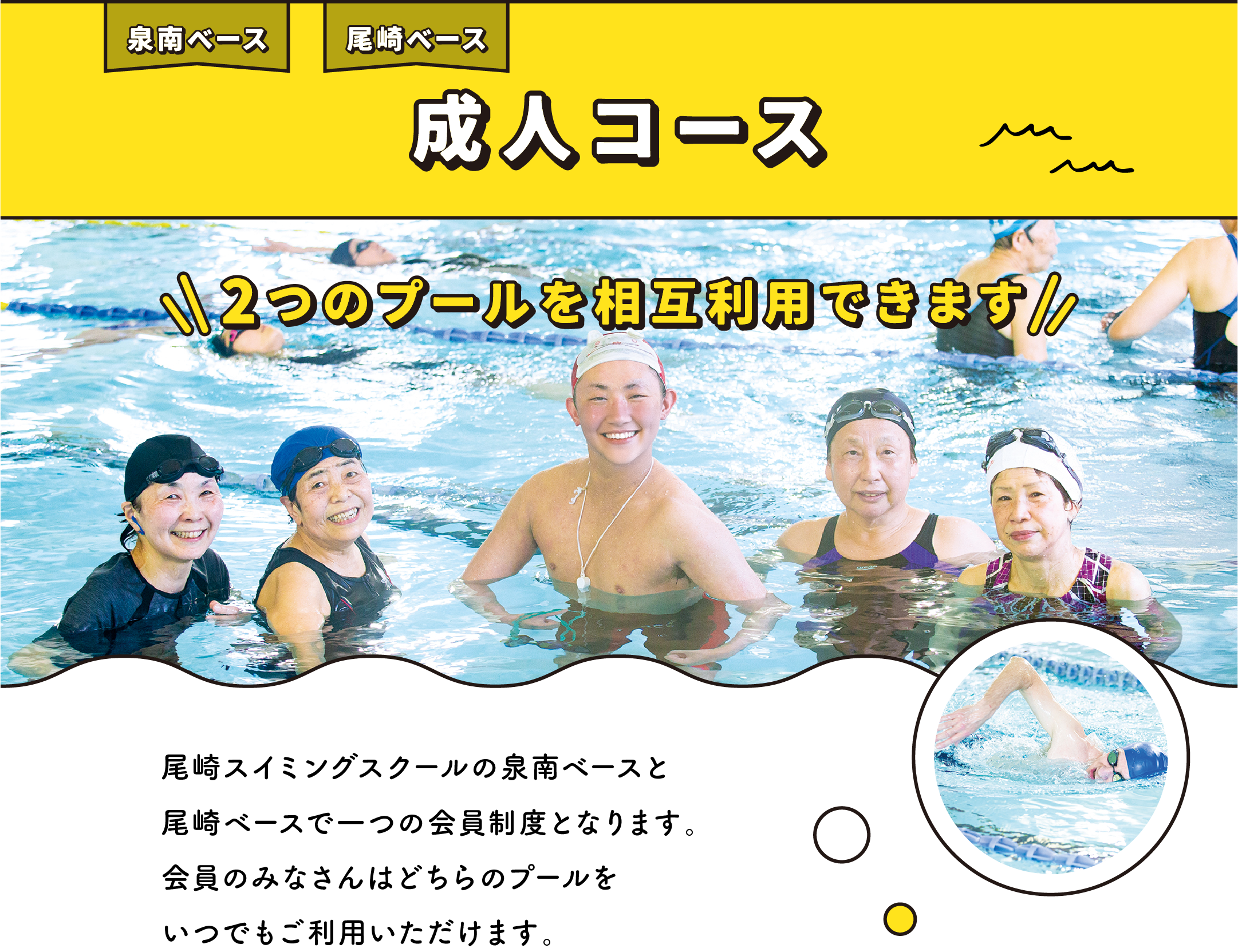 泉南ベース 尾崎ベース 成人コース 2つのプールを相互利用できます 尾崎スイミングスクールの泉南ベースと尾崎ベースで一つの会員制度となります。会員のみなさんはどちらのプールをいつでもご利用いただけます。